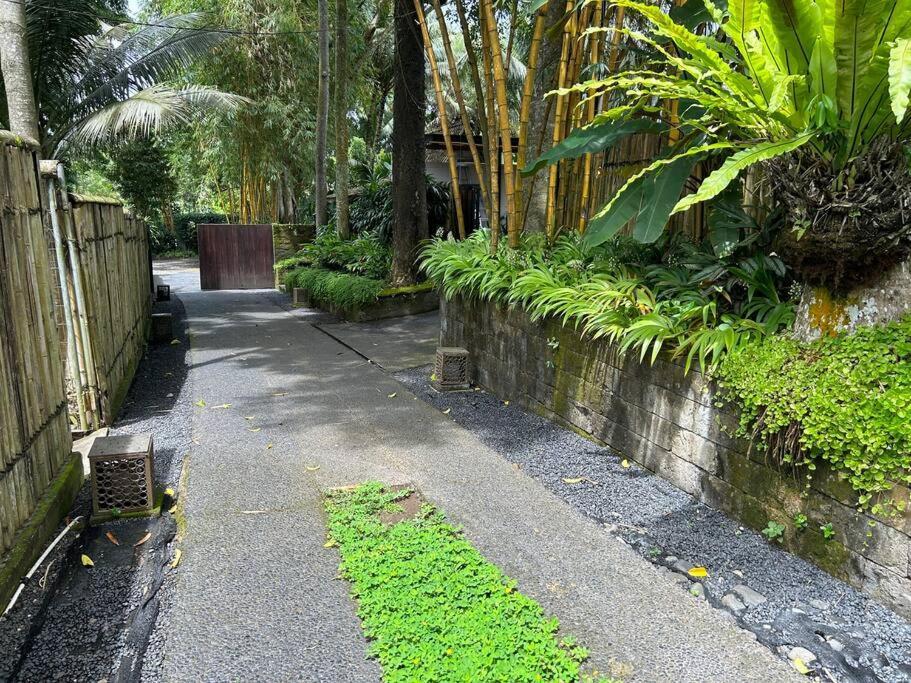 Boho Bellissimo Ubud Exterior foto