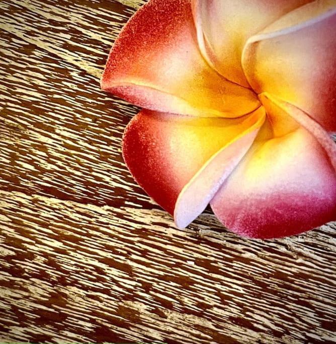Boho Bellissimo Ubud Exterior foto